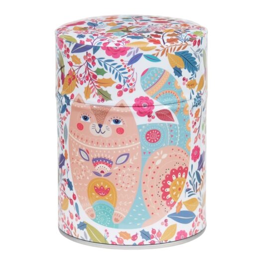 Boite multicolore avec chat cartoon